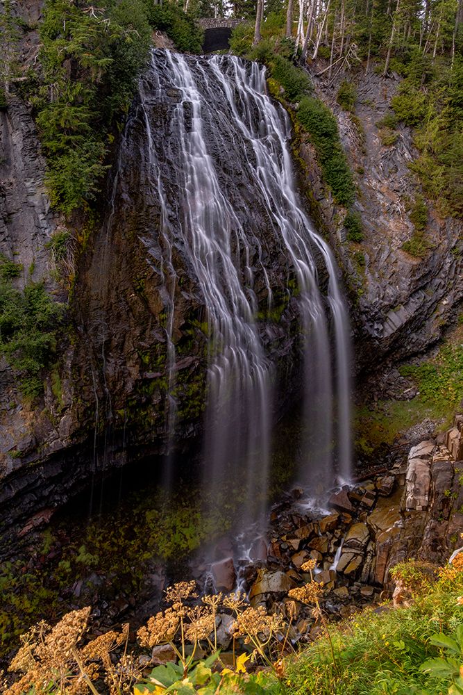 Narada Falls in Mount Rainier National Park-Washington State-USA
